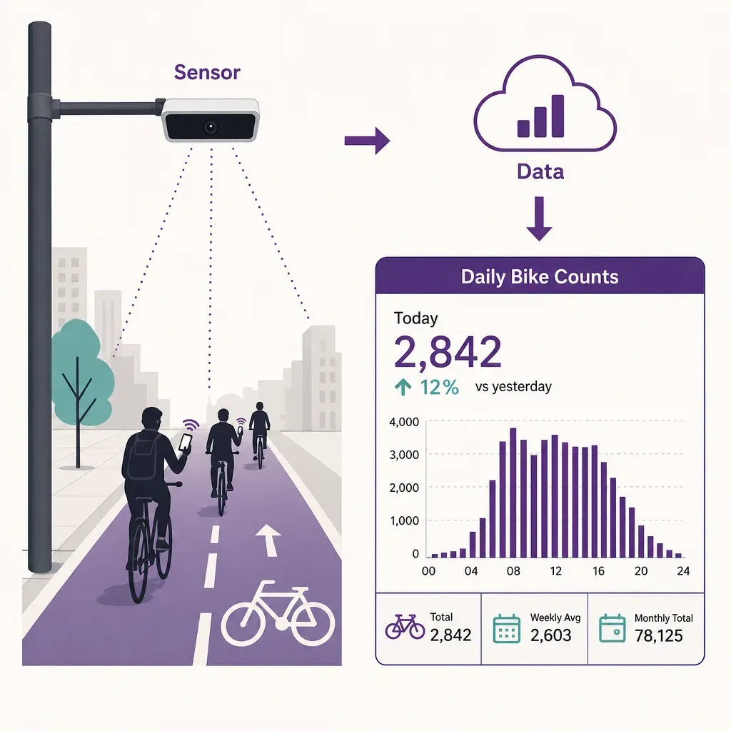 Vector infographic showing a cycle path counter sensor monitoring bike traffic and generating daily bike count data