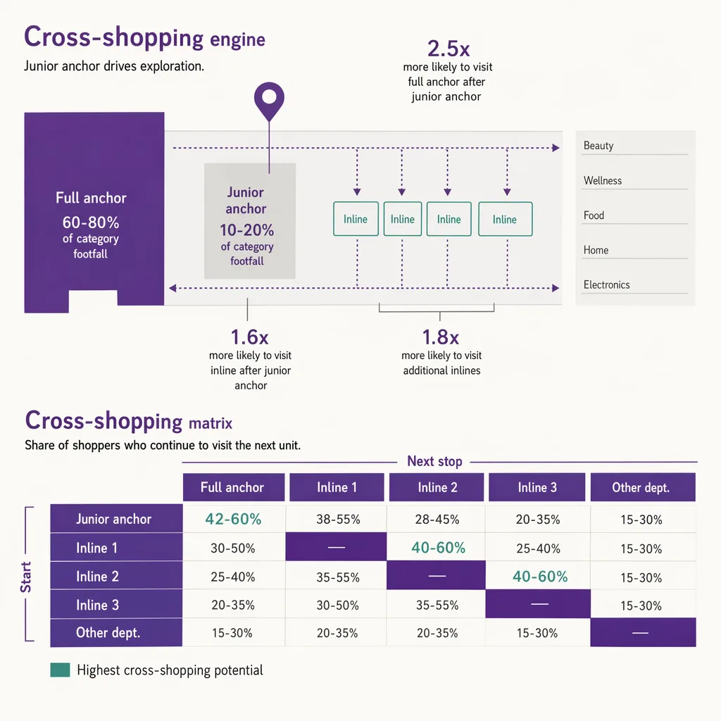 Junior-anchor placement and cross-shopping